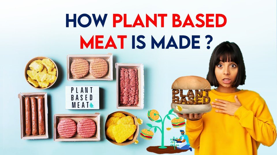 How is Plant Based Meat Made