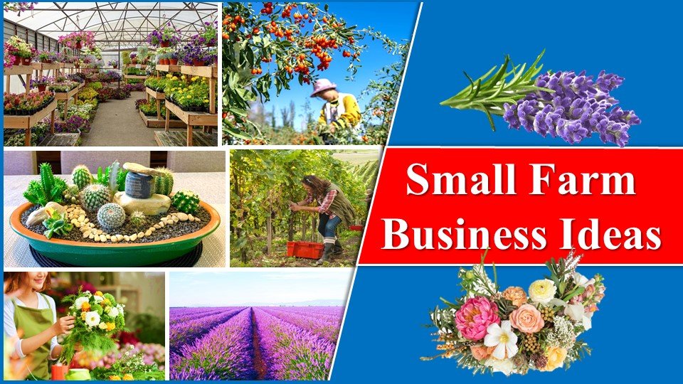 Small Farm Business Ideas
