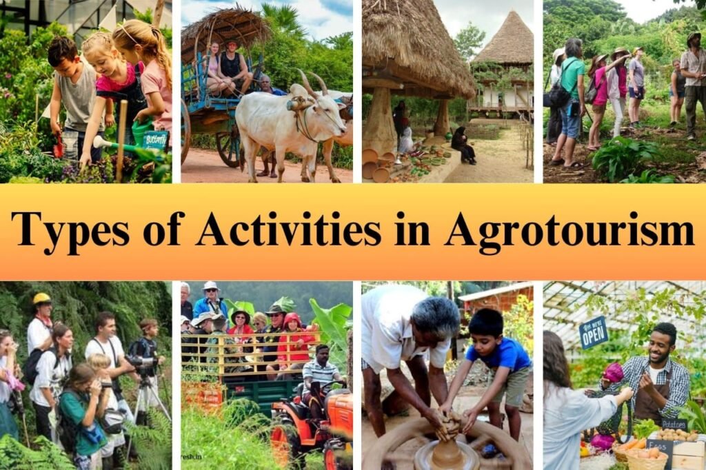 Types of activities in agrotourism [What is agrotourism]
