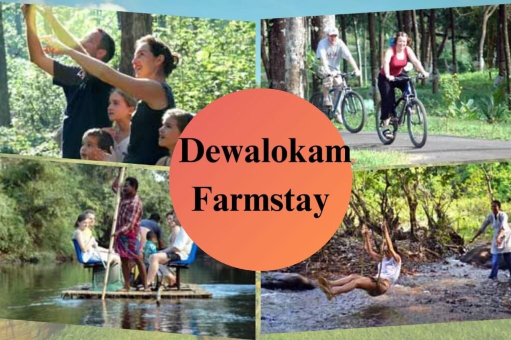 Dewalokam Farmstay, Kerala | What is agrotourism |