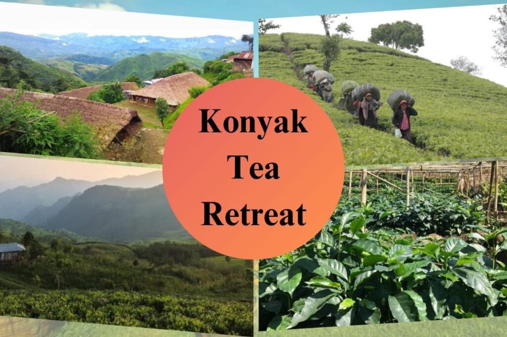 Konyak Tea Retreat, Nagaland | What is agrotourism |