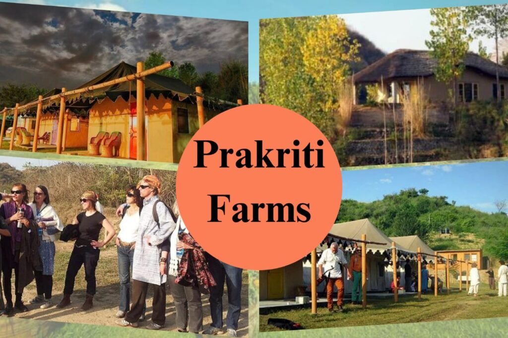 Prakriti Farms, Punjab | What is agrotourism |