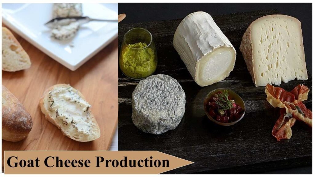 Goat Cheese Production | Small Farm Business Ideas