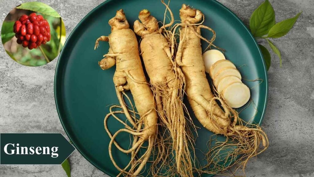 9. Ginseng | low investment high profit crops