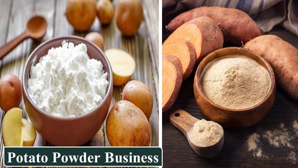 Potato Powder Business | Farming Business Ideas