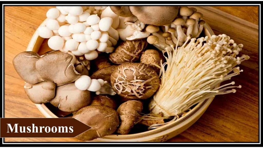 4. Mushrooms | low investment high profit crops