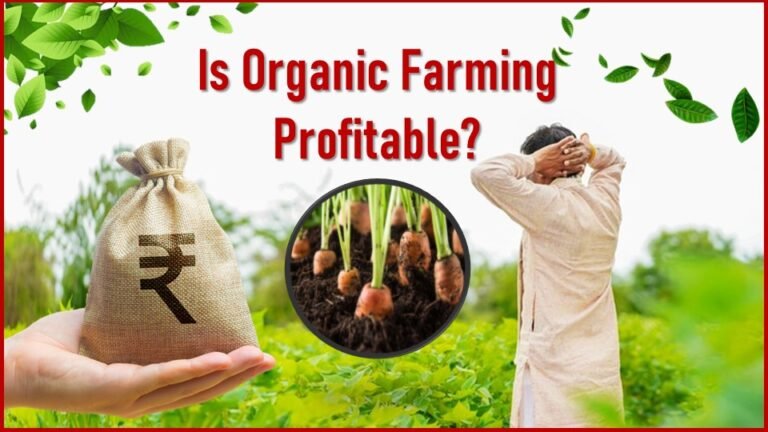 Is Organic Farming Profitable?