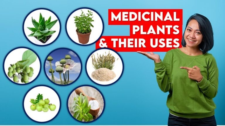 Top 15 Medicinal Plants and Their Uses