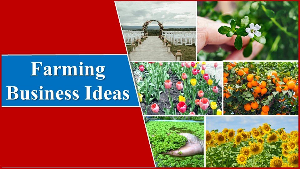 best Farming Business Ideas
