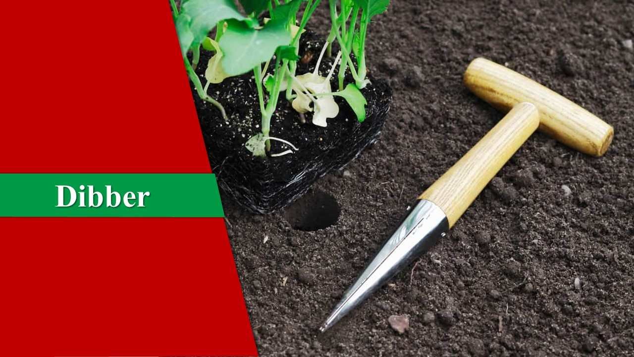 Using A Dibber Top 23 Garden Tools and Their Uses Everyone Must Know