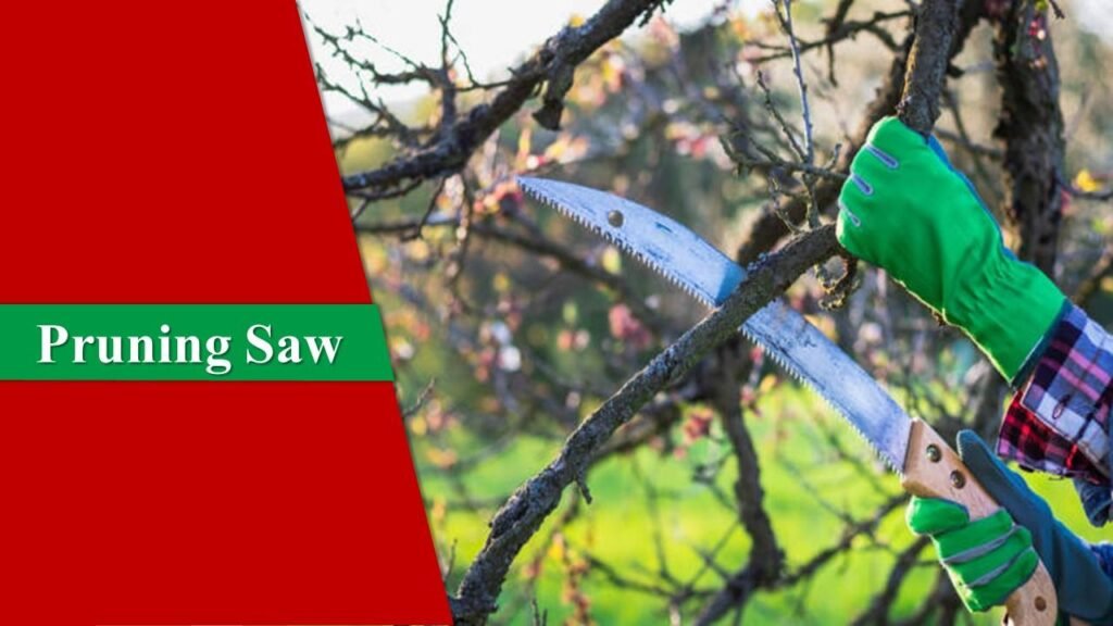 Pruning Saw | Garden Tools and Their Uses