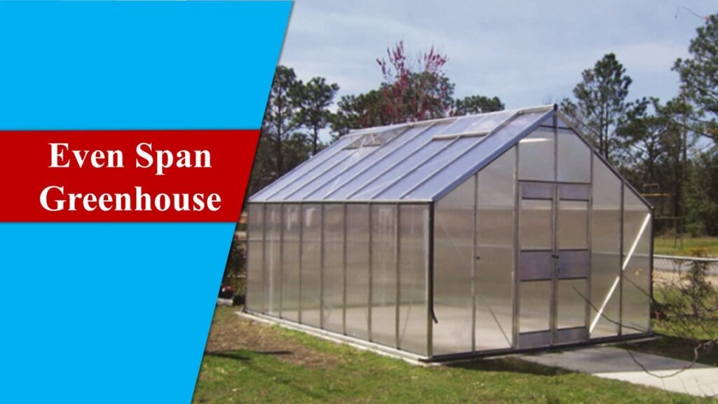 Even Span Greenhouse- Types of Greenhouse 