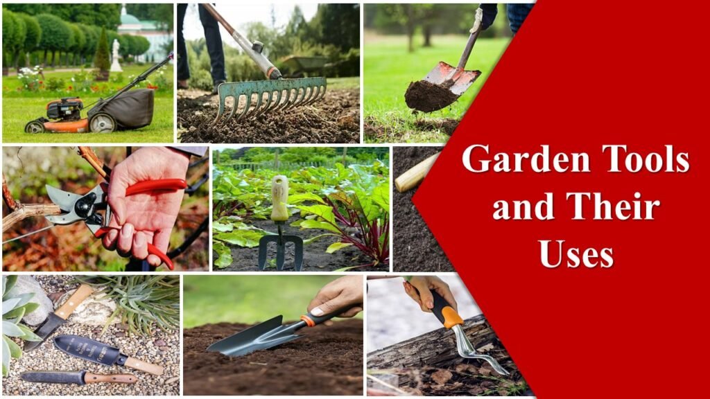 Garden Tools and Their Uses with pictures