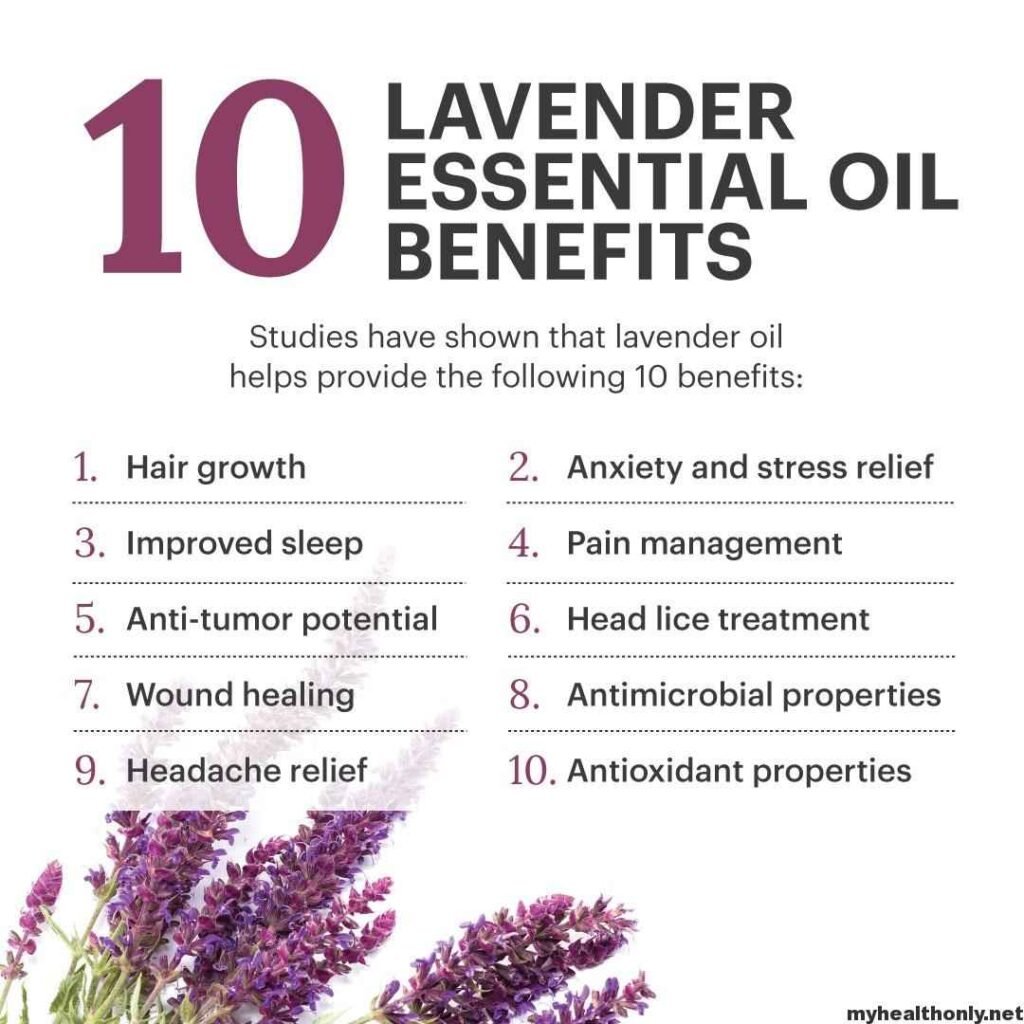 Benefits of lavender | Lavender plant indoor benefits
