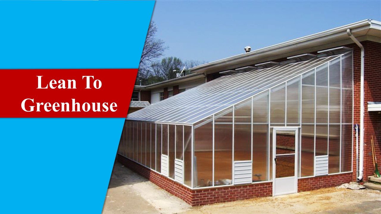 Lean To Greenhouse - Types of Greenhouse