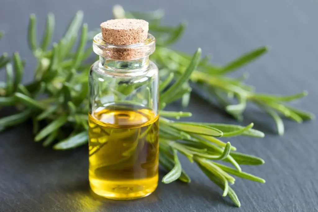 Storage | How to make rosemary oil