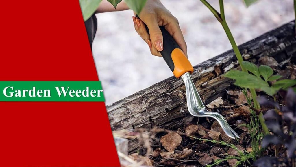 Garden Weeder | Garden Tools and Their Uses