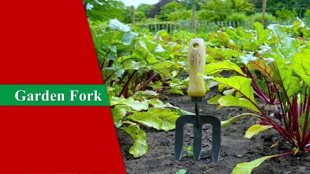 Garden Fork | Garden Tools and Their Uses