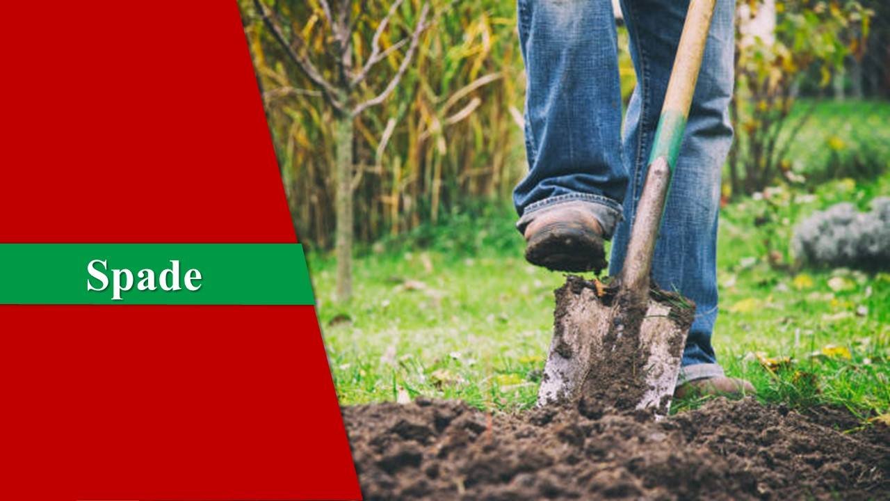 Top 23 Garden Tools And Their Uses Everyone Must Know