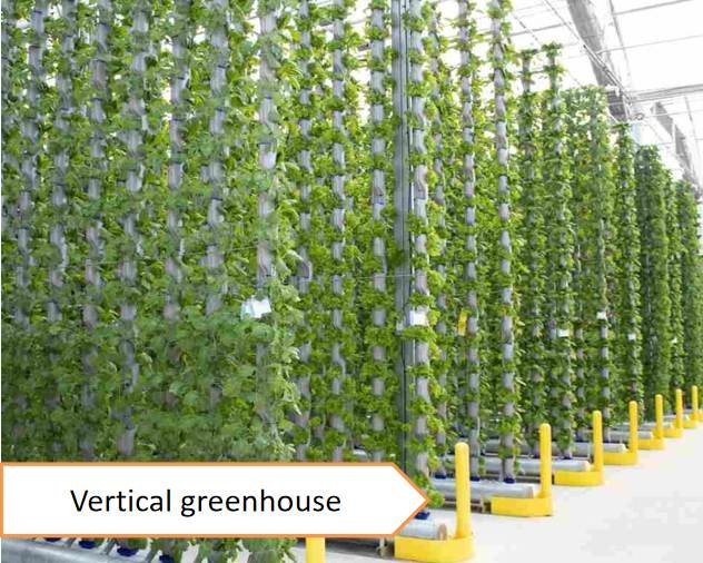 Vertical greenhouse - Types of greenhouses