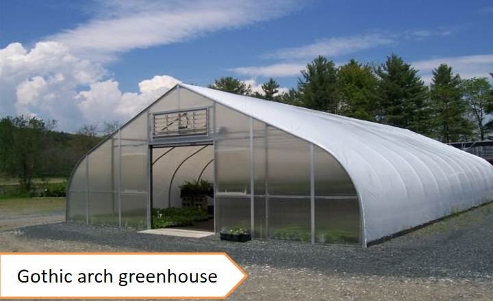 Gothic arch greenhouse 