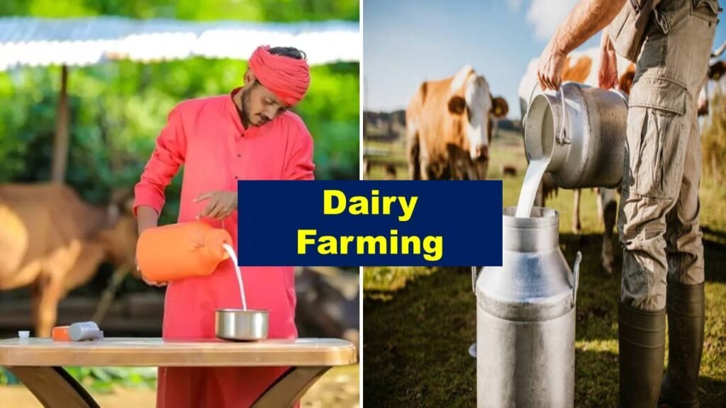 Dairy farming | Is farming profitable in India?