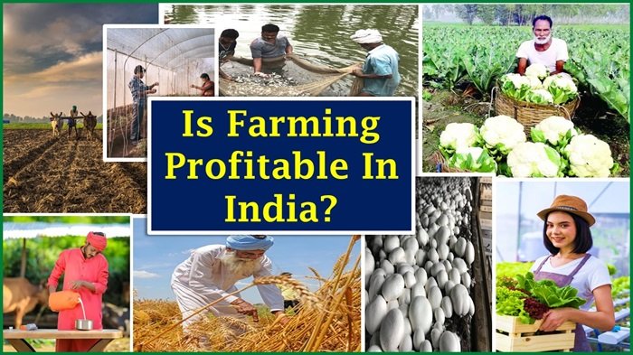 Is Farming Profitable In India