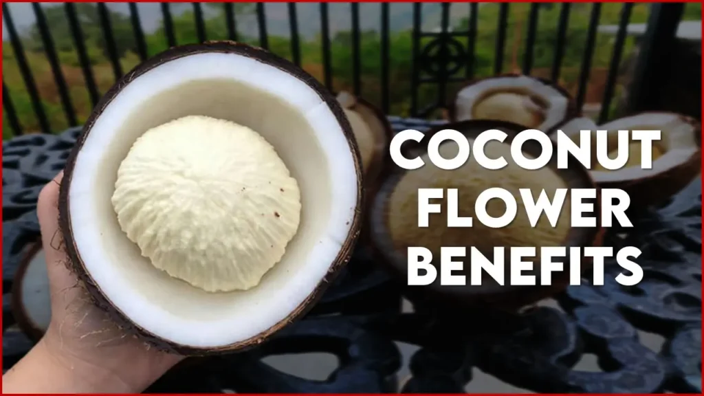Coconut Flower Benefits