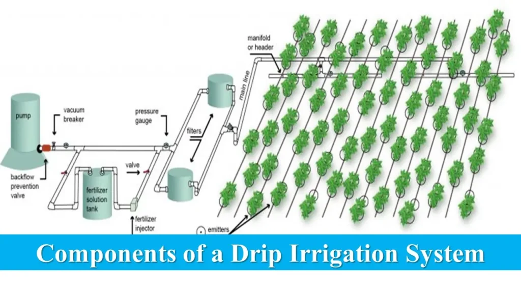 Components of a Drip Irrigation System | Drip Irrigation Cost per Acre