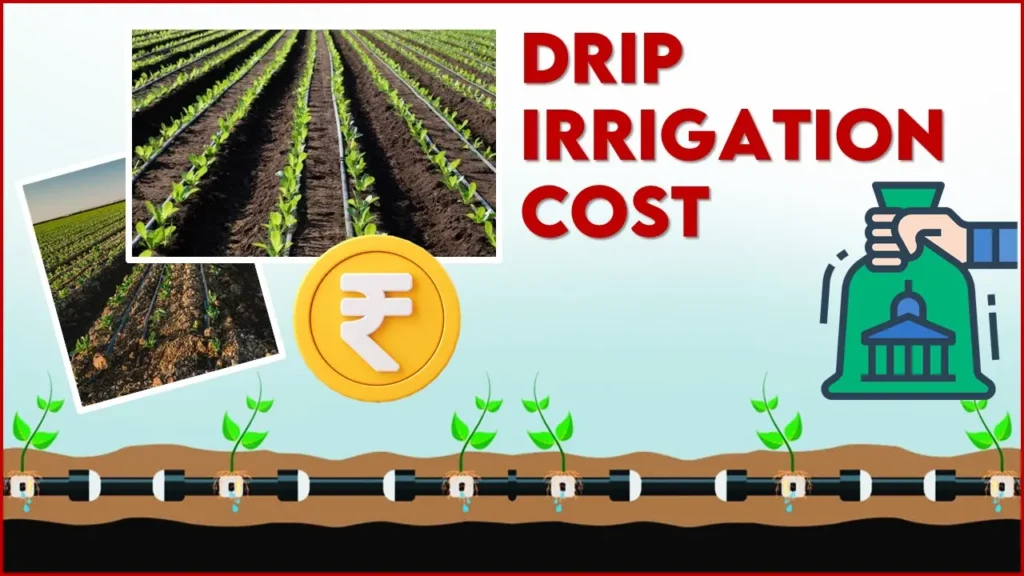Drip Irrigation Cost per Acre