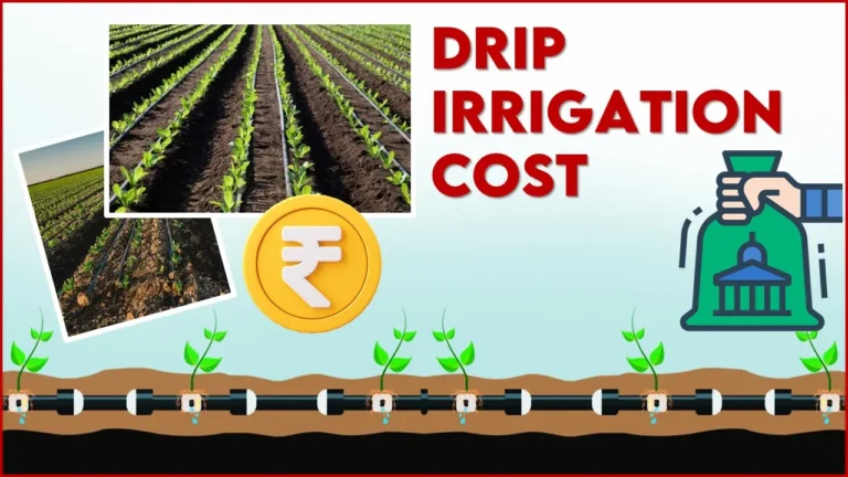 Drip Irrigation Cost per Acre