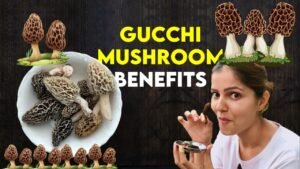 12 Amazing Gucchi Mushroom Benefits That You Didn't Know
