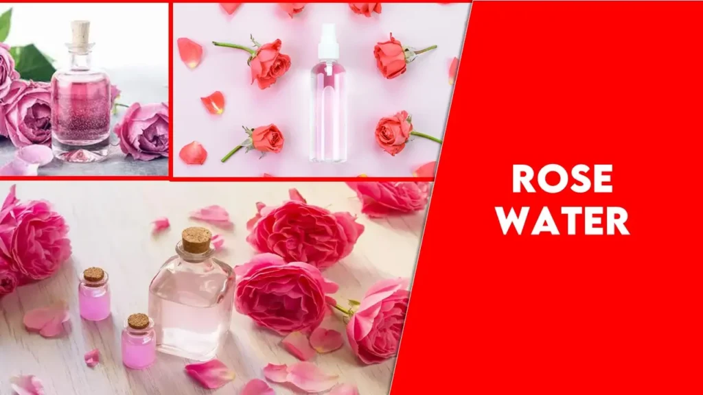 Uses of Rose Water | uses of rose