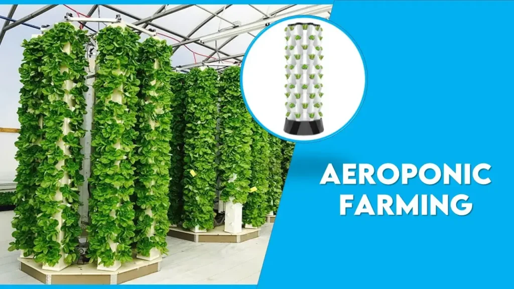 Aeroponic Farming in India`