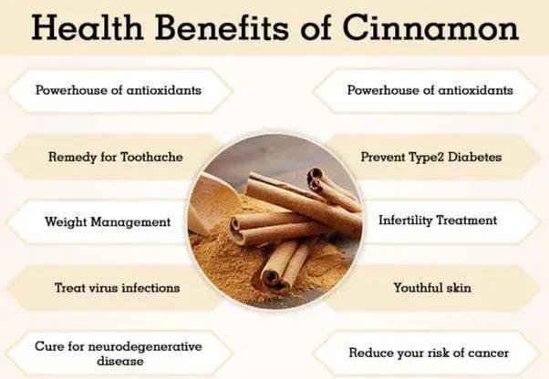 Benefits of Cinnamon | How to Grow Cinnamon