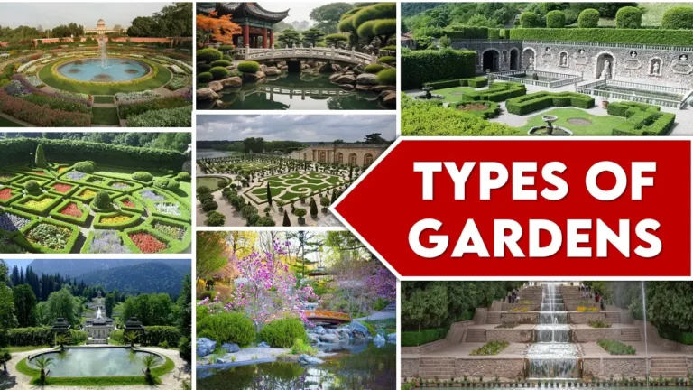 Types of Gardens