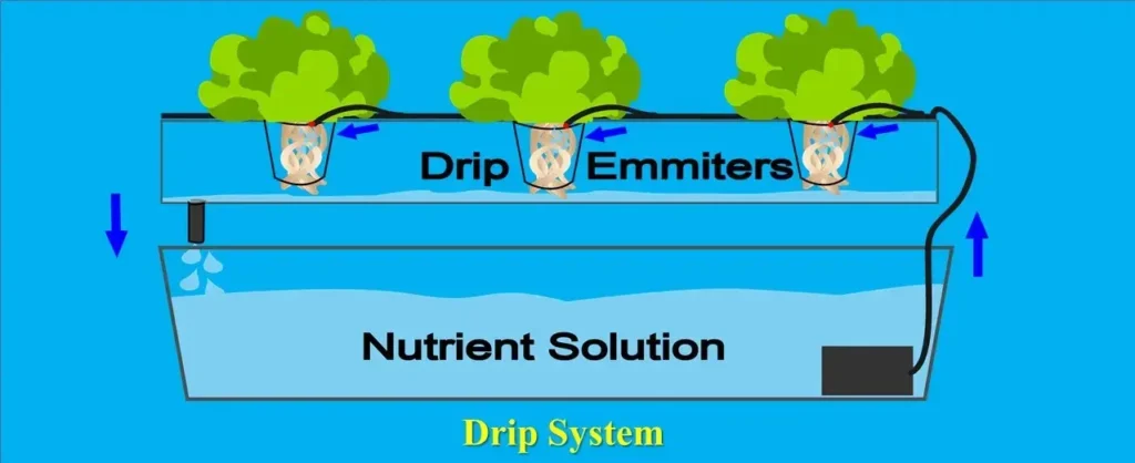  Drip System Types of Hydroponics