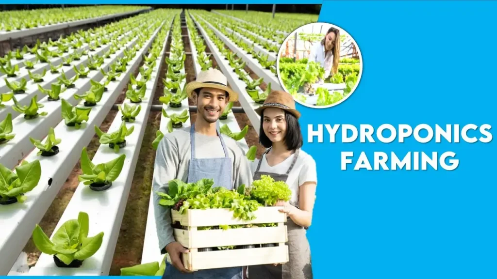 Hydroponics Farming in India