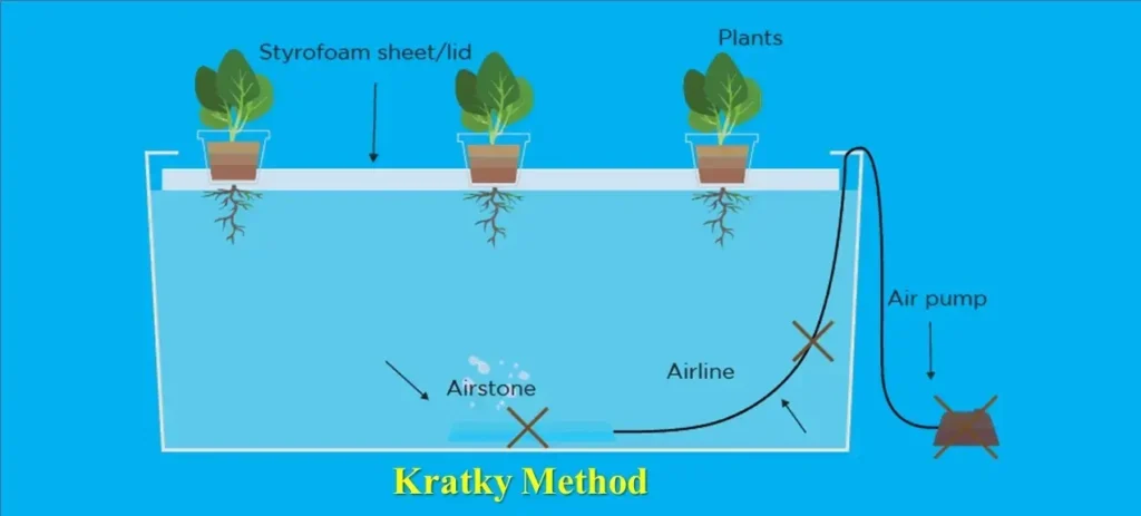 Kratky Method -types of Hydroponic Farming
