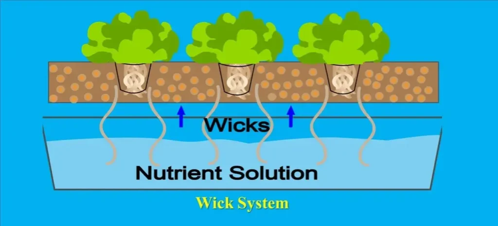 Wick System - Types of Hydroponic Farming