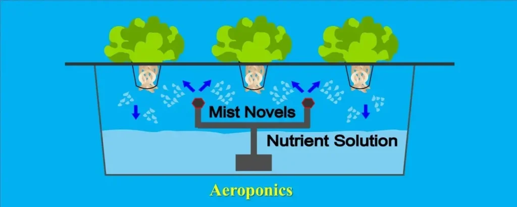 Aeroponics -TYpes of Hydroponic Farming