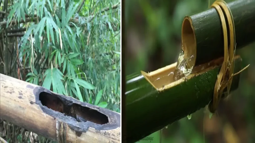 Bamboo Drip Irrigation System