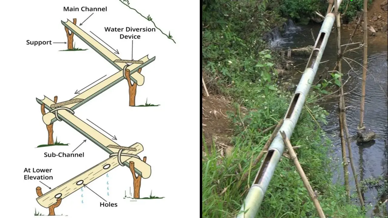 Bamboo Drip Irrigation System 