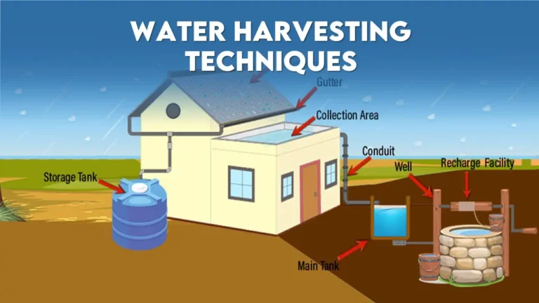 Best Water Harvesting Techniques