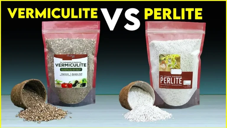 Vermiculite vs Perlite