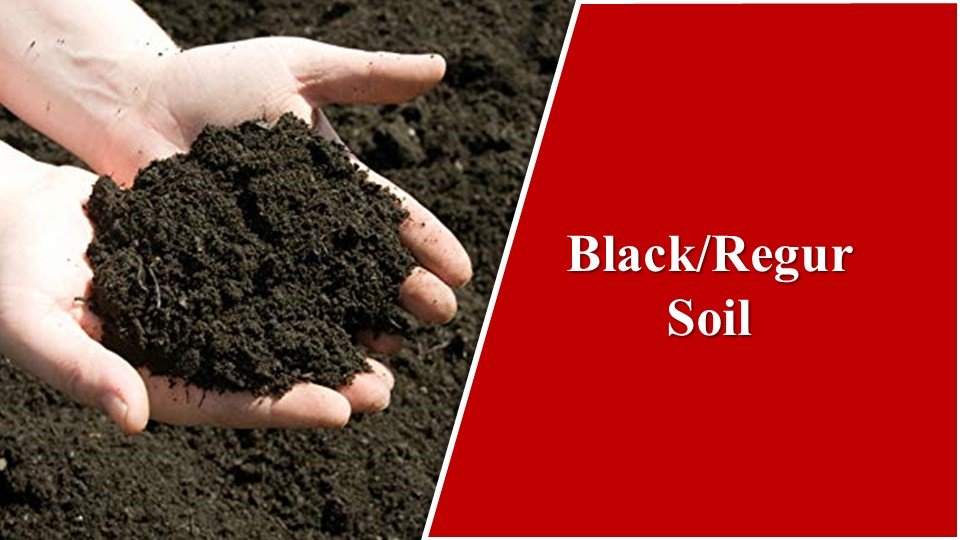 Black Soils | Types of Soil in India: The Fabulous 8 Basic Types