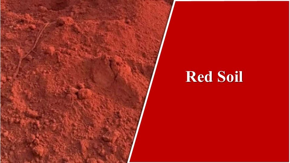 Red Soils | Types of Soil in India: The Fabulous 8 Basic Types