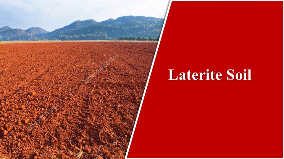 Laterite Soils| Types of Soil in India: The Fabulous 8 Basic Types