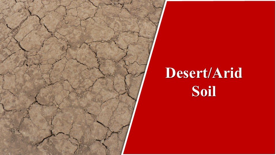 Desert Soils| Types of Soil in India: The Fabulous 8 Basic Types