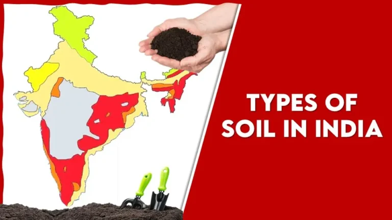 Types of Soil in India